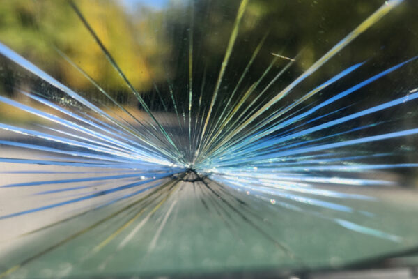 Auto Glass Replacement Rock Island IL, A close-up of a shattered windshield, showing the impact point and the cracks radiating outwards the car hit a butternut dropping out of a tree at 45 MPH