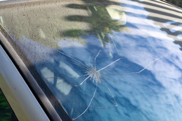 Windshield Replacement Moline IL, Cracked car windshield with radial damage, visible dust on glass, light reflections and tree reflections in background